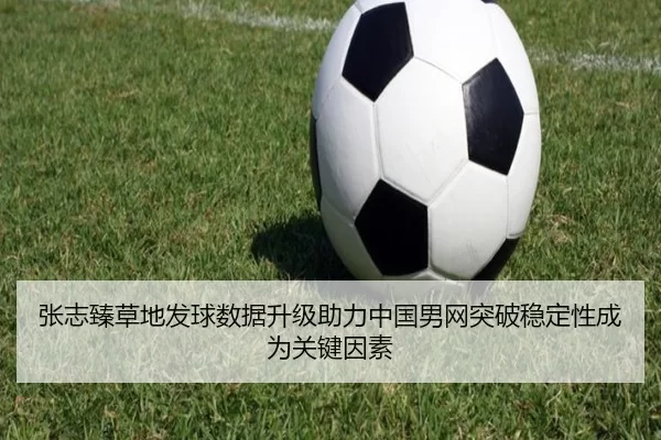 张志臻草地发球数据升级助力中国男网突破稳定性成为关键因素（333tiyu）